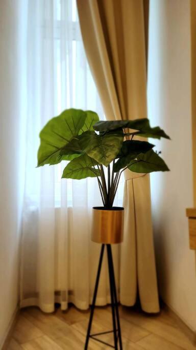 Golden Apartment Bosacka Krakow Old Town 2 Rooms Ngoại thất bức ảnh